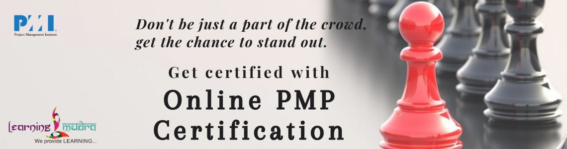 should you put pmp after your name