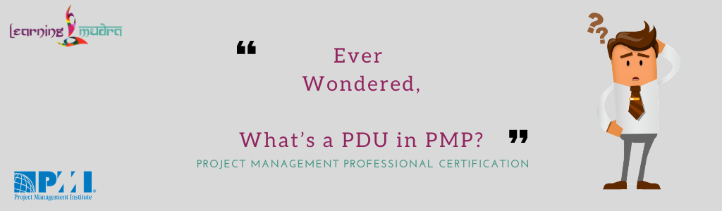 what is pdu in pmp